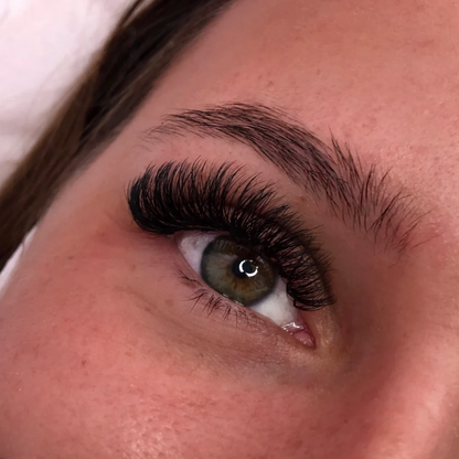 Lashorly: Magnetické Řasy