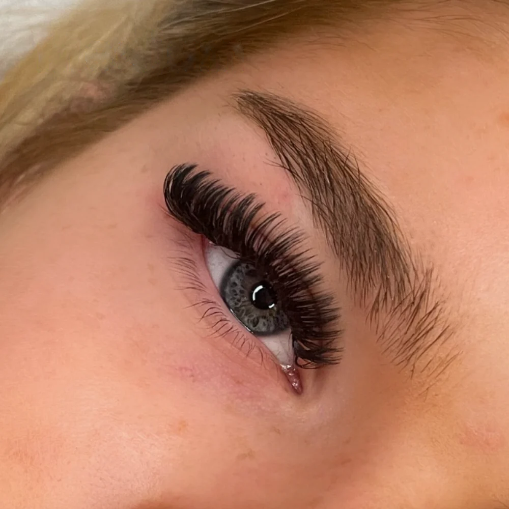 Lashorly: Magnetické Řasy