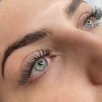 Lashorly: Magnetické Řasy